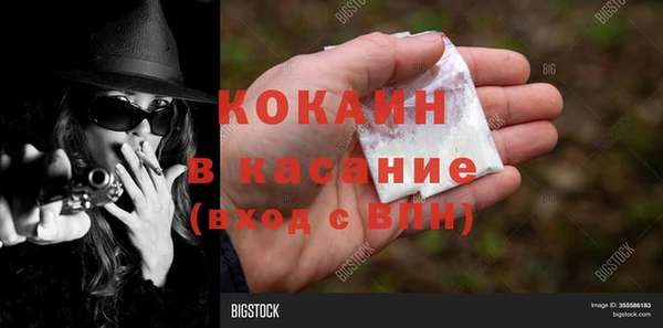 индика Бронницы