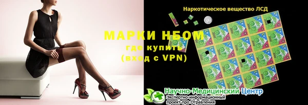 индика Бронницы