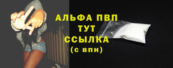 индика Бронницы