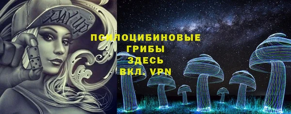 сатива Бугульма
