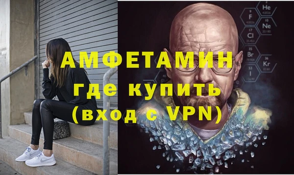 индика Бронницы