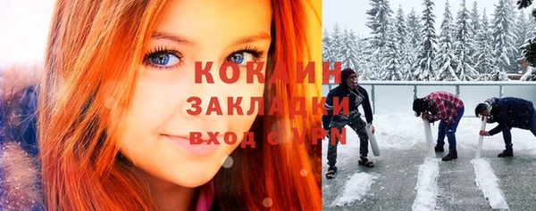 шишки Богородицк