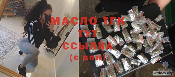 индика Бронницы