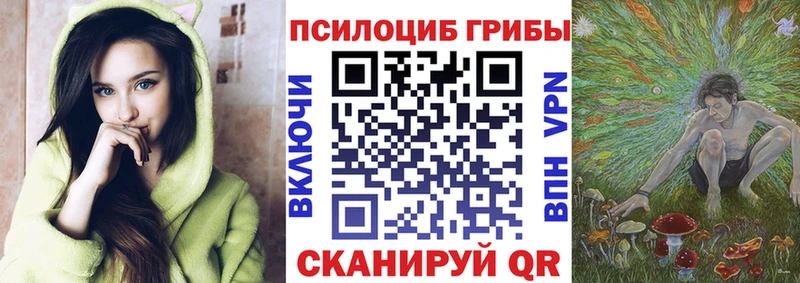 как найти наркотики  Краснозаводск  Псилоцибиновые грибы GOLDEN TEACHER 